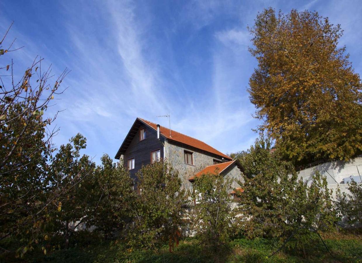 Luxury Chalet
